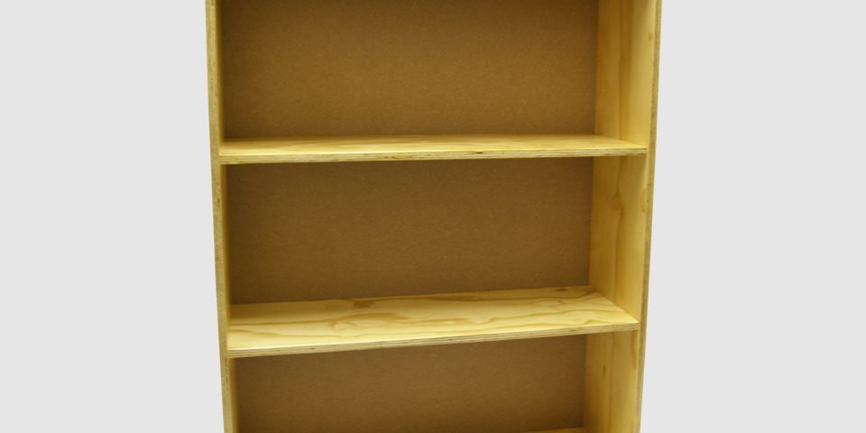 Bookshelf 300 x 900 x 300